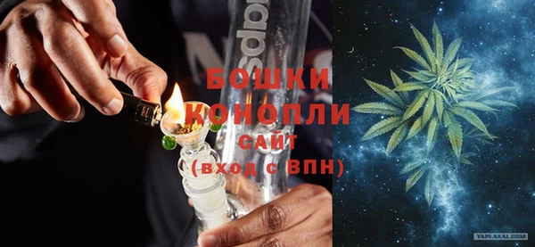 индика Ладушкин
