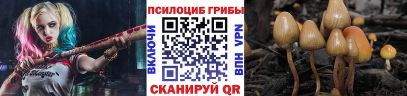 Псилоцибиновые грибы Cubensis  где купить наркотик  Данилов 