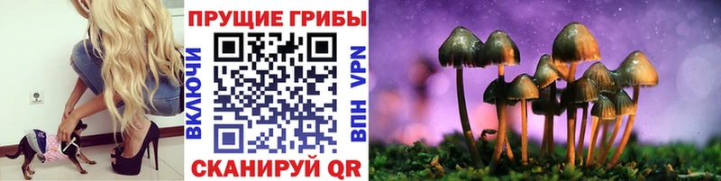 Галлюциногенные грибы прущие грибы Данилов